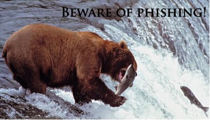 bear catching a fish