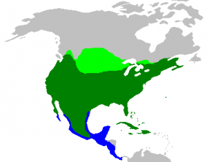 Map of North and Central America, colored in to show the mourning dove range.