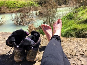 Mind the puffy red feet enjoying the cool breeze