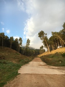 Heading out of Nàjera