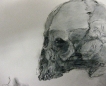 mica-skull