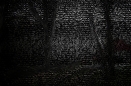 spiritualtree
