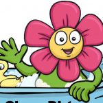 Clean Dirt, Purchase, Organic, Affordable