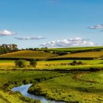 Rolling Farm Field Background, permaculture, Clean Dirt Logo, affordable, soil, plants, healthy, organic, non-gmo, compost