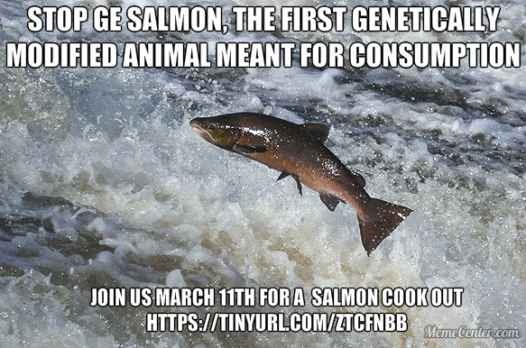 Resources and Fast Facts On Genetically Engineered Salmon