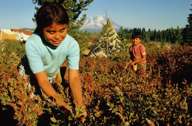 What Is Food Sovereignty?