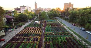 First-Sustainable-Urban-Agrihood-in-Detroit