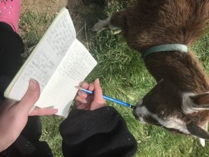 An excuse why I didn't post yesterday