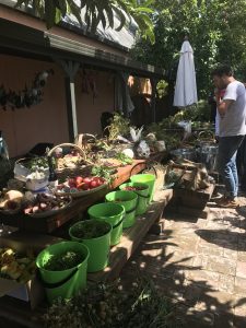 the table with everyone's foraged food