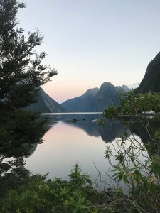 55BB5003-218E-425B-B61A-354E1BAA2F6E