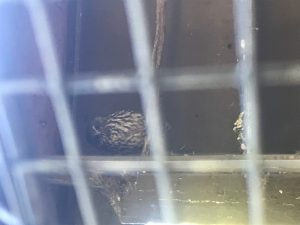 6B8743E1-11D6-4EA2-A3E4-036FC775F95B