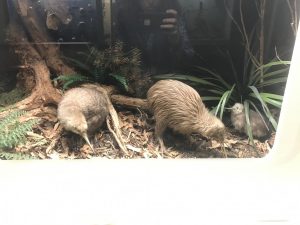 6C399A0B-75CA-4167-B25B-57579B8812B4