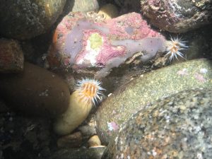 988E0E09-2D97-4709-B42E-7BAFAE108F12