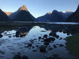 Milford sound at sunrise. The peak in the middle is considered one of the 8th wonders of the world. 