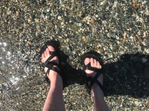 CED5FEAE-6223-44F5-925C-F64A015EABE3