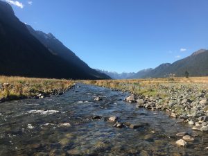 E46D5191-4D0A-480C-A1FE-EBC6D46FA209