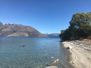 F013491D-B886-4BEA-83FD-6E43798409E4