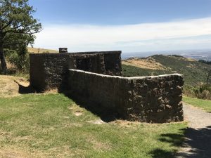 the Sign of the Bellbird