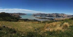 Lyttelton harbor