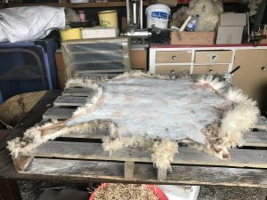 The skin fresh off with kerosene and baking soda spread onto it