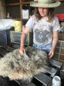 Brushing out the dirt and grimy bits after I cut the ovular section out