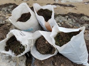 Bags brimming with nutrient-rich heaps