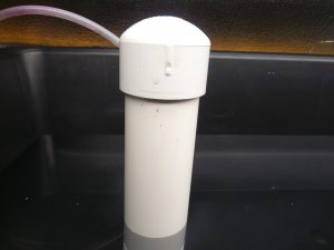 Bell Siphon Cover