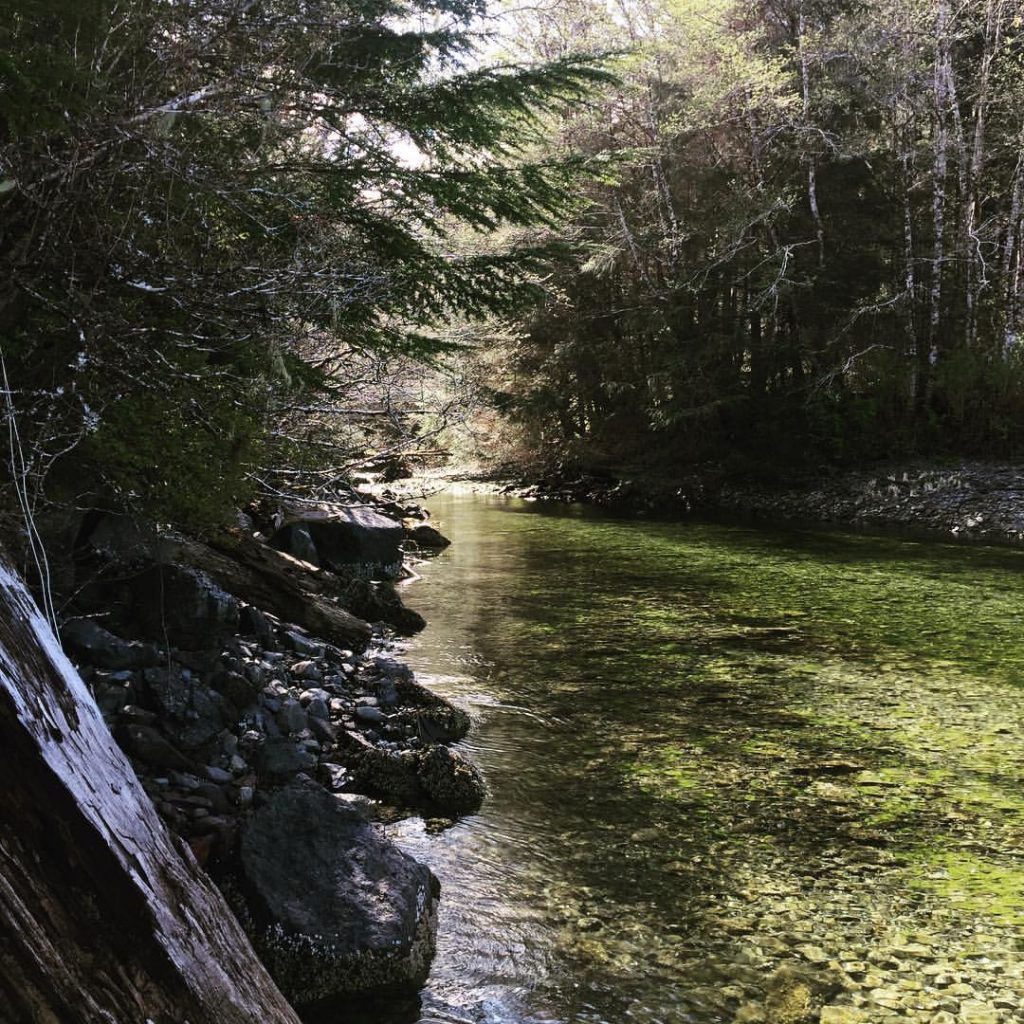 Constructing wilderness image