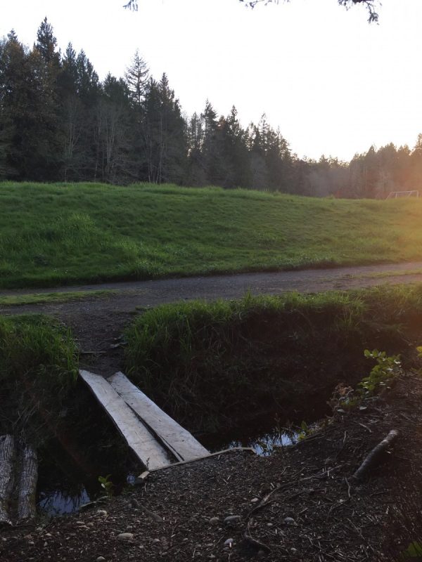 View across a log bridge of the Evergreen fields at sunset