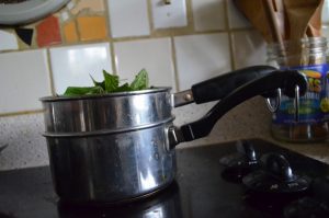 Makeshift double boiler to gently heat the comfrey to infuse into the olive oil. covered and left overnight, then strained with cheesecloth