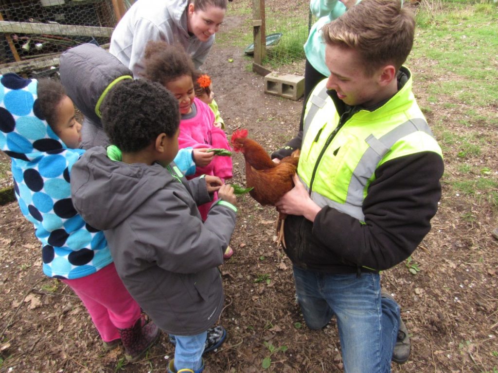 Youth crew member, Cacey, holding one of the resident hens for the children to pet and feed chickweed to. This is part of the chicken work shop we teach during field trips. 