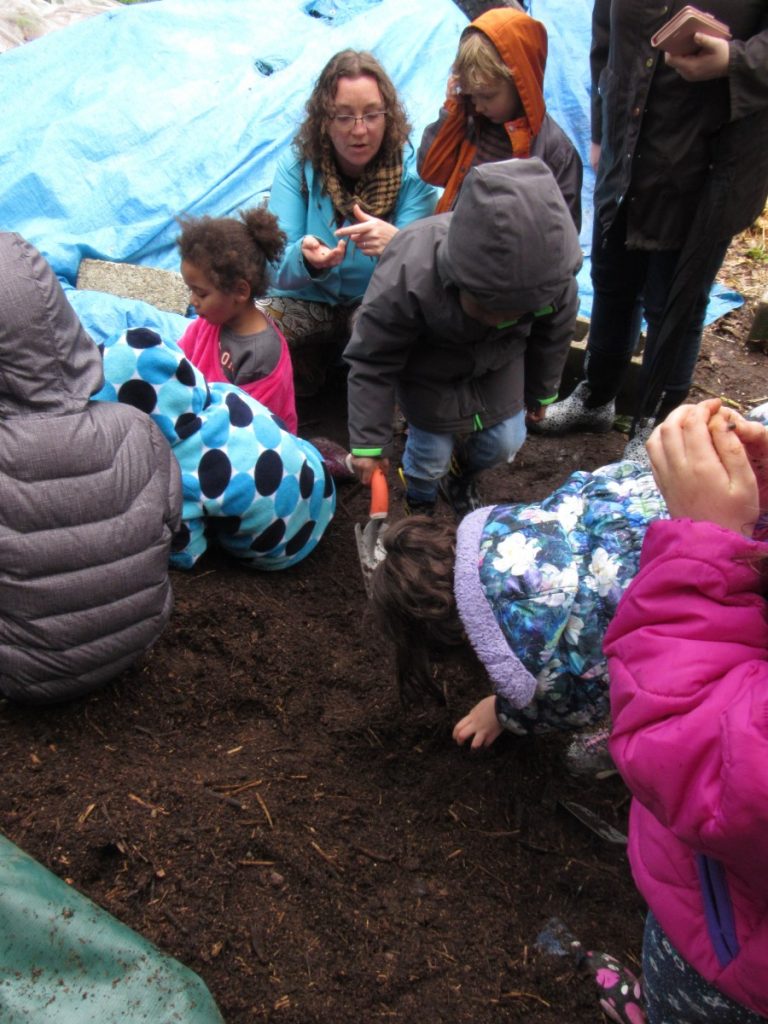 The group of preschoolers from the Hands On Children's Museum with their teacher, digging through the compost pile in search of worms!