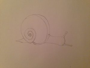 snail