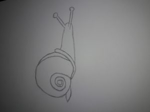 art week 4 snail 1