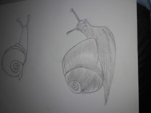 art week 4 snail 2