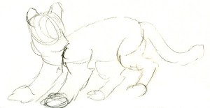 Sketch of the adult male clouded leopard standing.