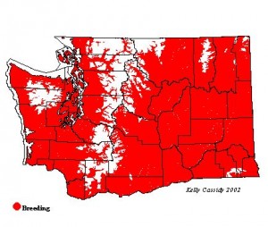 map of cliff swallow range in washington state