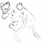 Sketches of the two cubs from observation.
