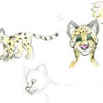 A rough sketch of the face, full body, and paw of a clouded leopard adult.
