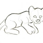 Basic sketch of a cub.