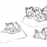 Various sketches of the cubs sleeping.