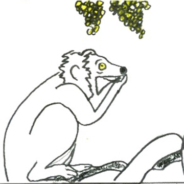 Lemur eating grapes animated GIF