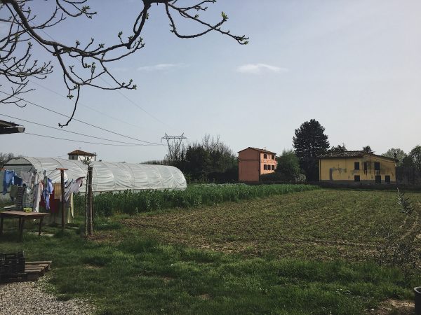 Beginning to Discuss Biodynamic Farming