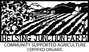 Stepping into a new role