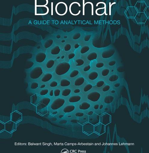 Biochar and the SEM