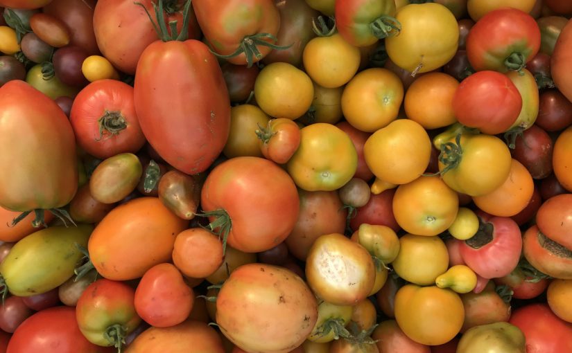 GruB: Week 4-6