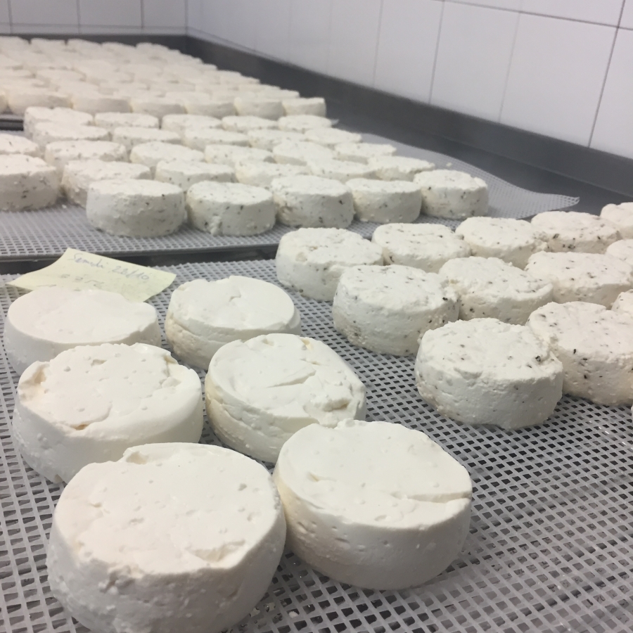 Fresh goat cheese from fromagerie la cabriole Photo by: Chloé Landrieu Murphy