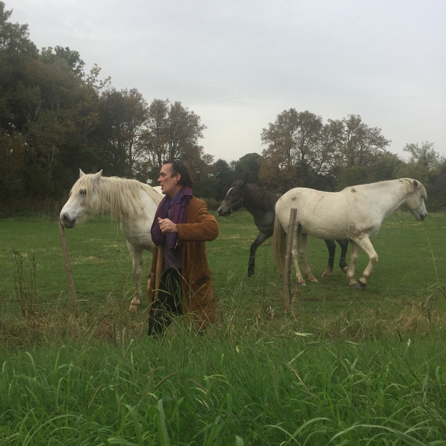 Jean Sebastian with traditional Camargue horses during our interview Photo by: Chloé Landrieu Murphy