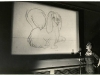 doglady