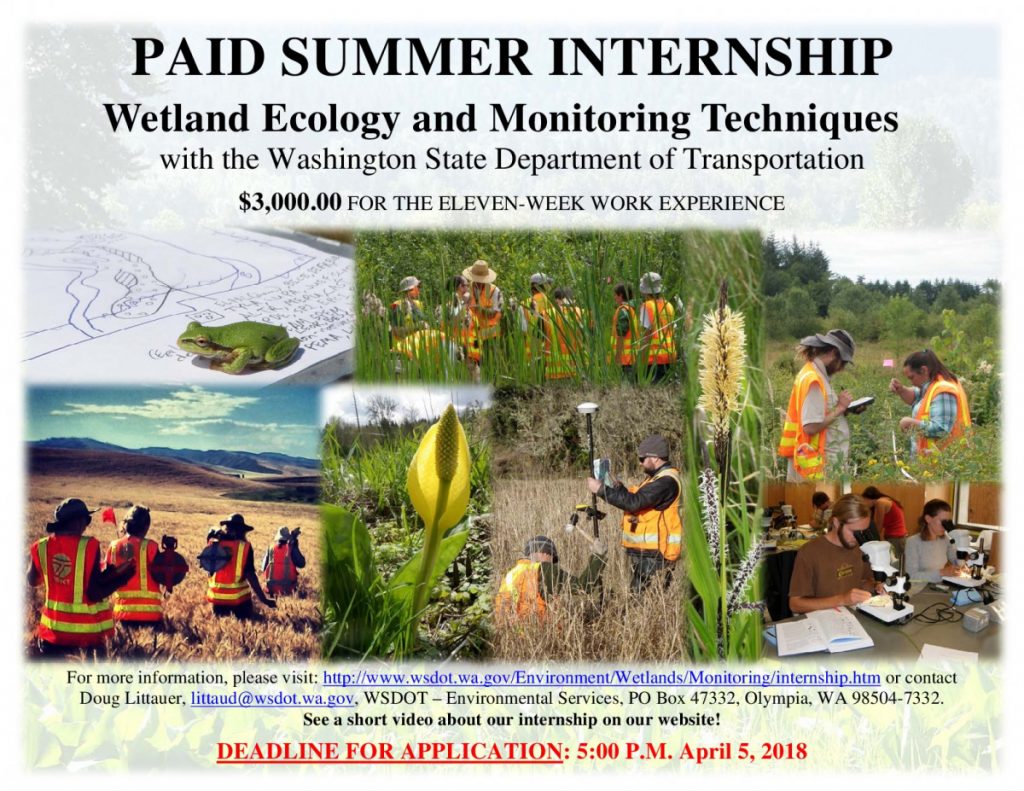 Internships Wetland Ecology and Monitoring Techniques, WA State